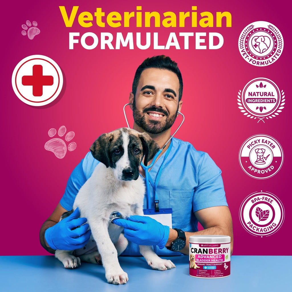Dog UTI Treatment   Cranberry Supplement and Bladder Control for Dogs   UTI Chewable Treats (2 Pack)   240 Chews for Kidney Support   Bladder Stones   Urinary Tract Infection Incontinence Treatment