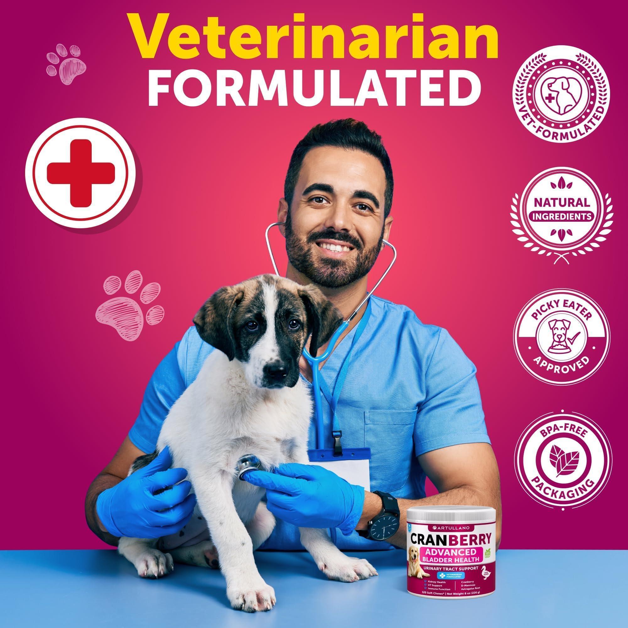Dog UTI Treatment   Cranberry Supplement and Bladder Control for Dogs   UTI Chewable Treats (2 Pack)   240 Chews for Kidney Support   Bladder Stones   Urinary Tract Infection Incontinence Treatment