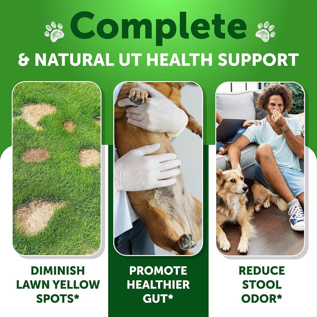 Grass Burn Spot Chews for Dogs 120 Treats Pee Lawn Spot Saver Caused by Dog