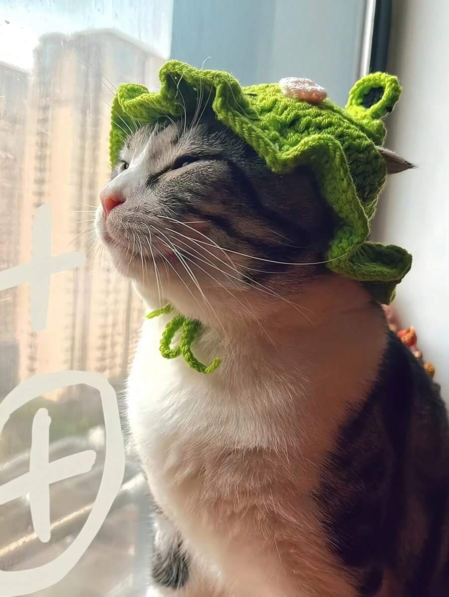Frog Knitted Pet Hat