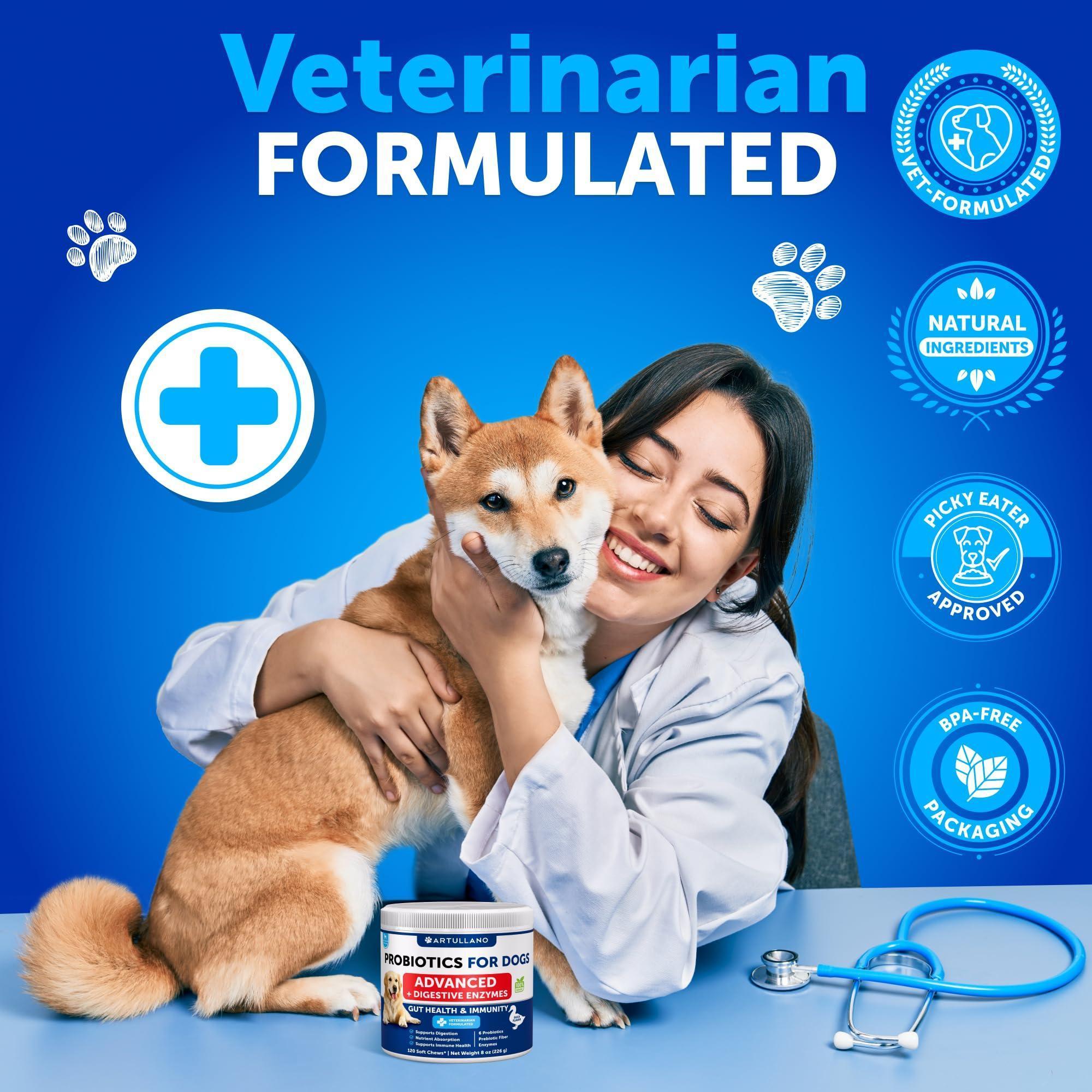 2 Pack Probiotics for Dogs 240 Soft Treats Chews for Gut Health Itchy Skin Allergies Immunity Yeast Balance 6 Dog Probiotics Digestive Enzymes with Prebiotic Fiber Reduce Diarrhea Gas