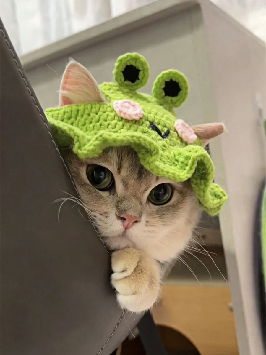 Frog Knitted Pet Hat