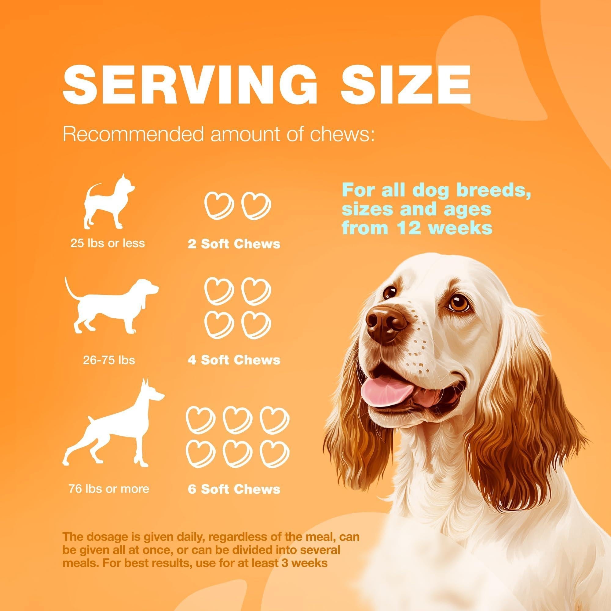 Dog Allergy Relief Chews Itch Relief for Dogs Anti Itch Dog Allergy Chews US