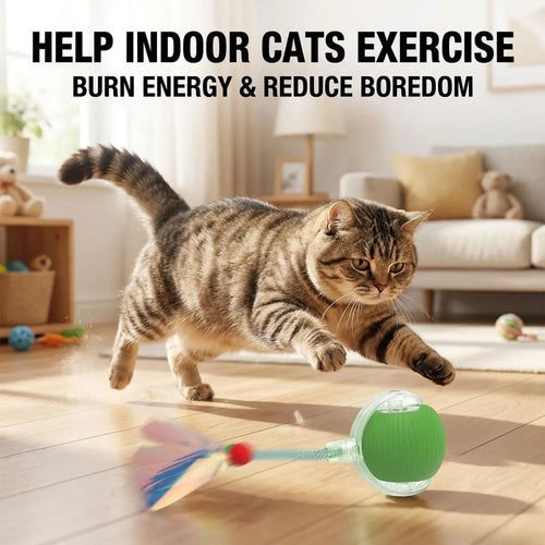 Automatic Cat Toy - Interactive Rolling Ball for Cats, Self-Moving Pet Entertainment Toy for Fun, Exercise & Mental Stimulation