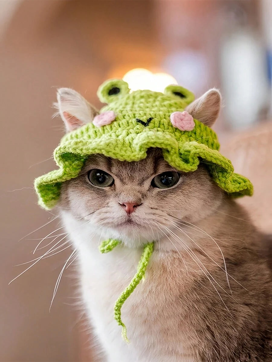 Frog Knitted Pet Hat
