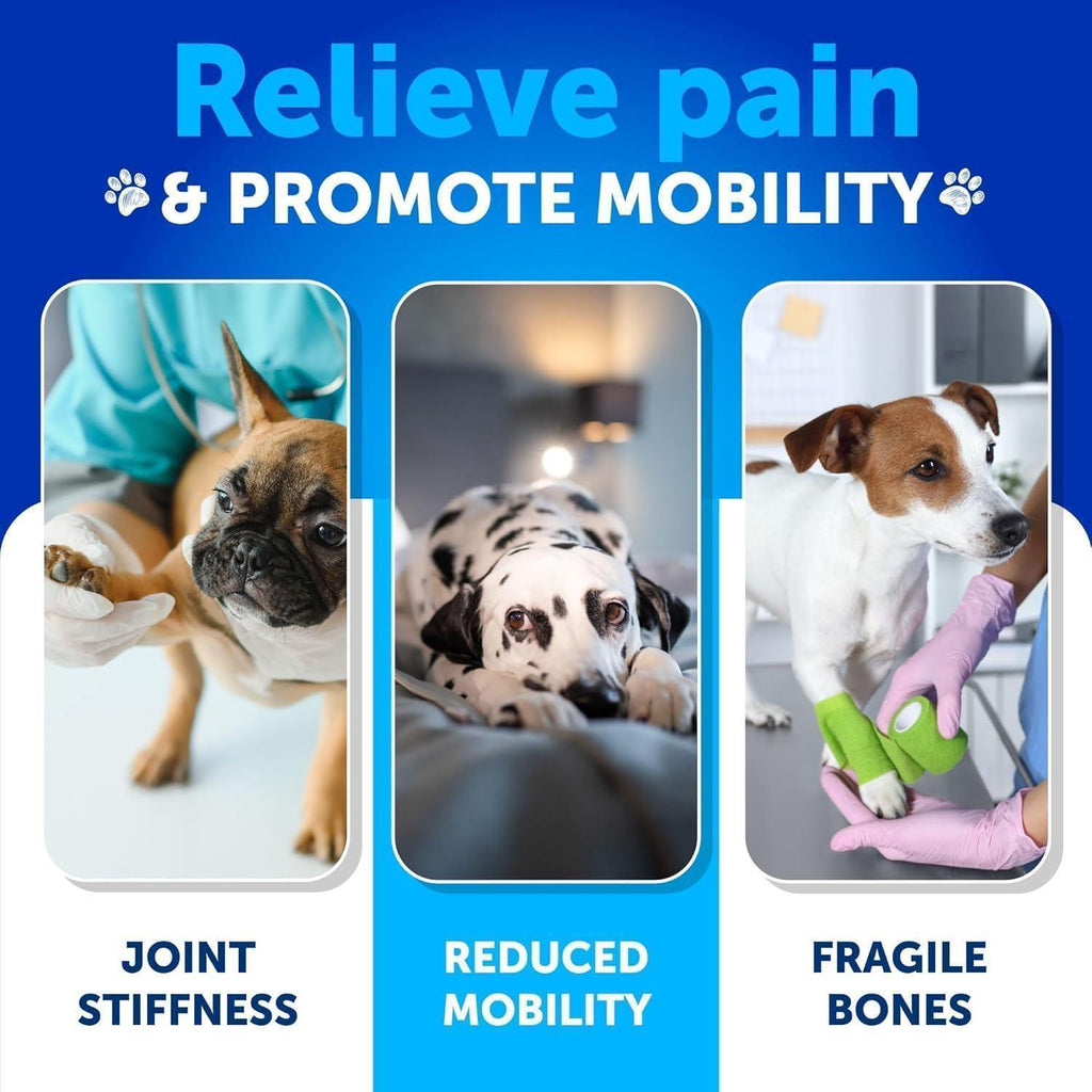 Hemp Hip and Joint Supplement for Dogs   Glucosamine for Dogs Joint Pain Relief   MSM   Mobility Support   Hemp Chews with Chondroitin   Canine Cartilage Health   240 Chewable Soft Treats (2 Pack)