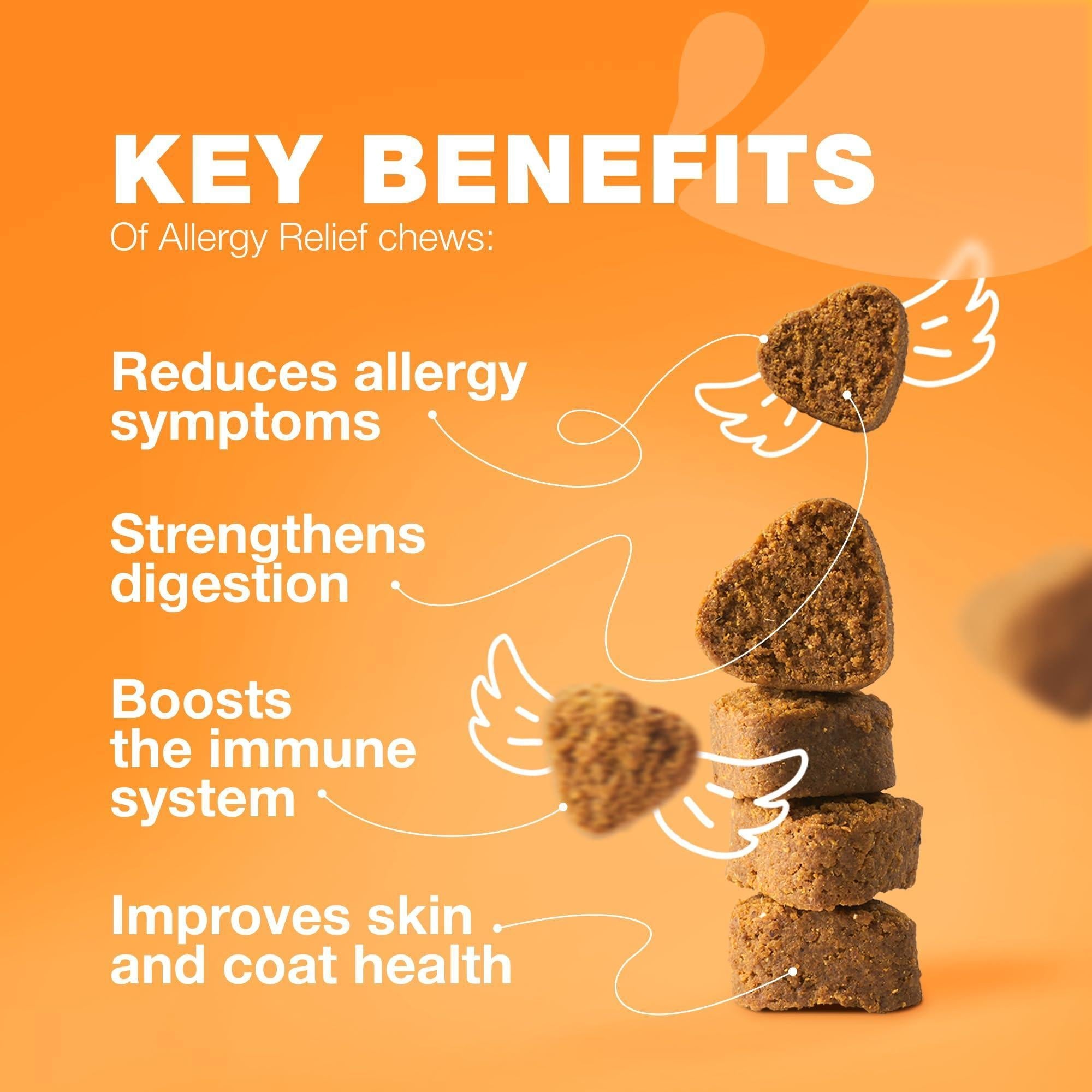 Dog Allergy Relief Chews Itch Relief for Dogs Anti Itch Dog Allergy Chews US