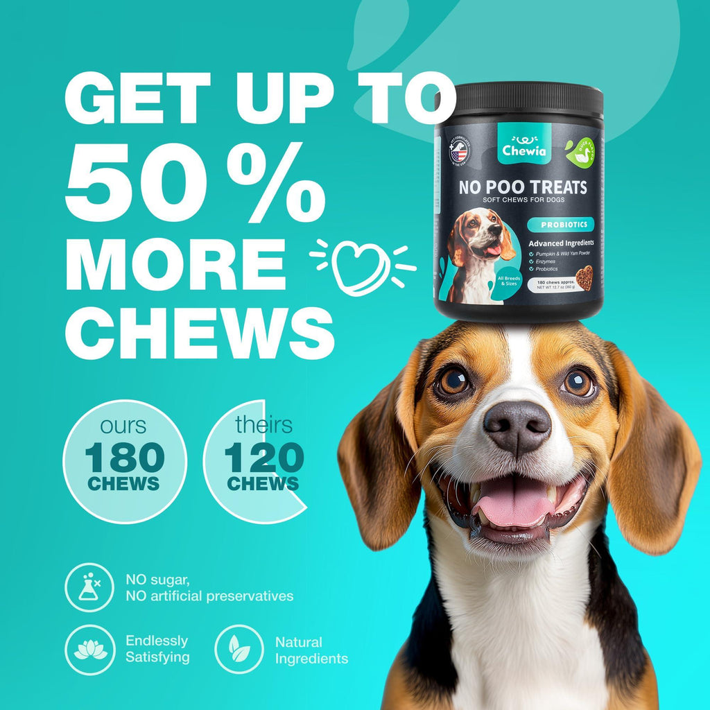 No Poo Chews for Dogs   Coprophagia Deterrent for Dogs   Forbid for Dogs Stool Eating Deterrent   Dog Probiotics for Digestive Health   Digestive Gut & Immune Health Treats   No Poop Eating for Dogs