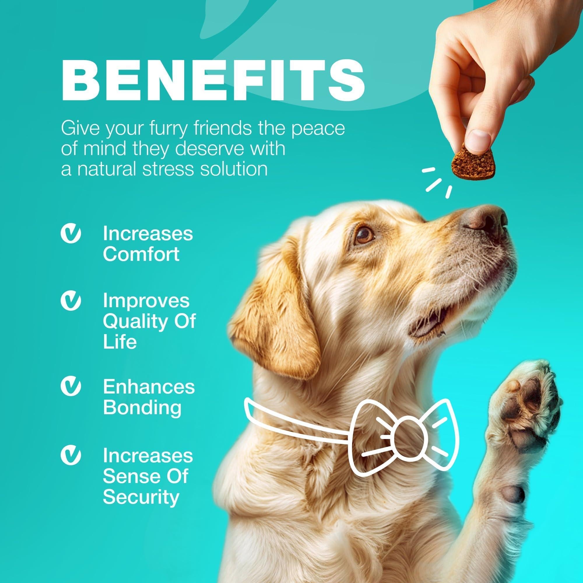 No Poo Chews for Dogs   Coprophagia Deterrent for Dogs   Forbid for Dogs Stool Eating Deterrent   Dog Probiotics for Digestive Health   Digestive Gut & Immune Health Treats   No Poop Eating for Dogs