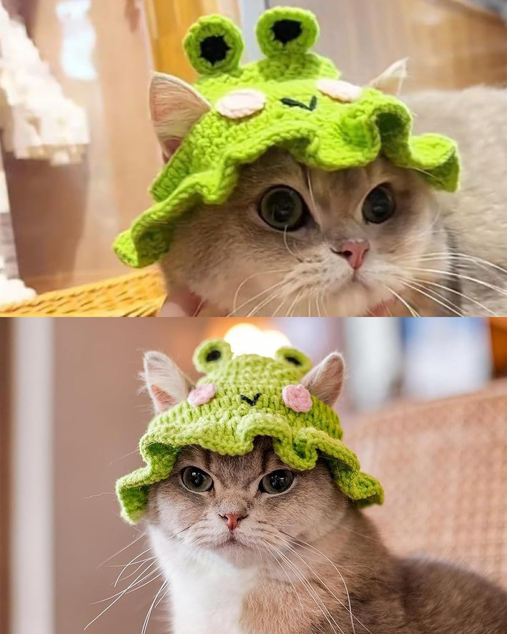 Frog Knitted Pet Hat