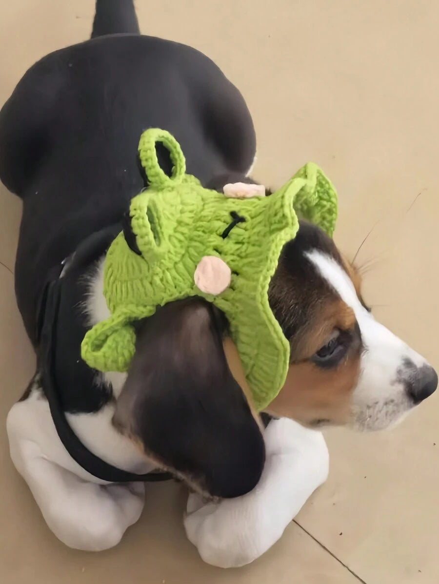 Frog Knitted Pet Hat