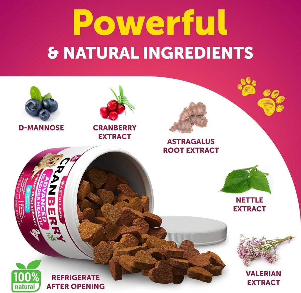 Dog UTI Treatment   Cranberry Supplement and Bladder Control for Dogs   UTI Chewable Treats (2 Pack)   240 Chews for Kidney Support   Bladder Stones   Urinary Tract Infection Incontinence Treatment