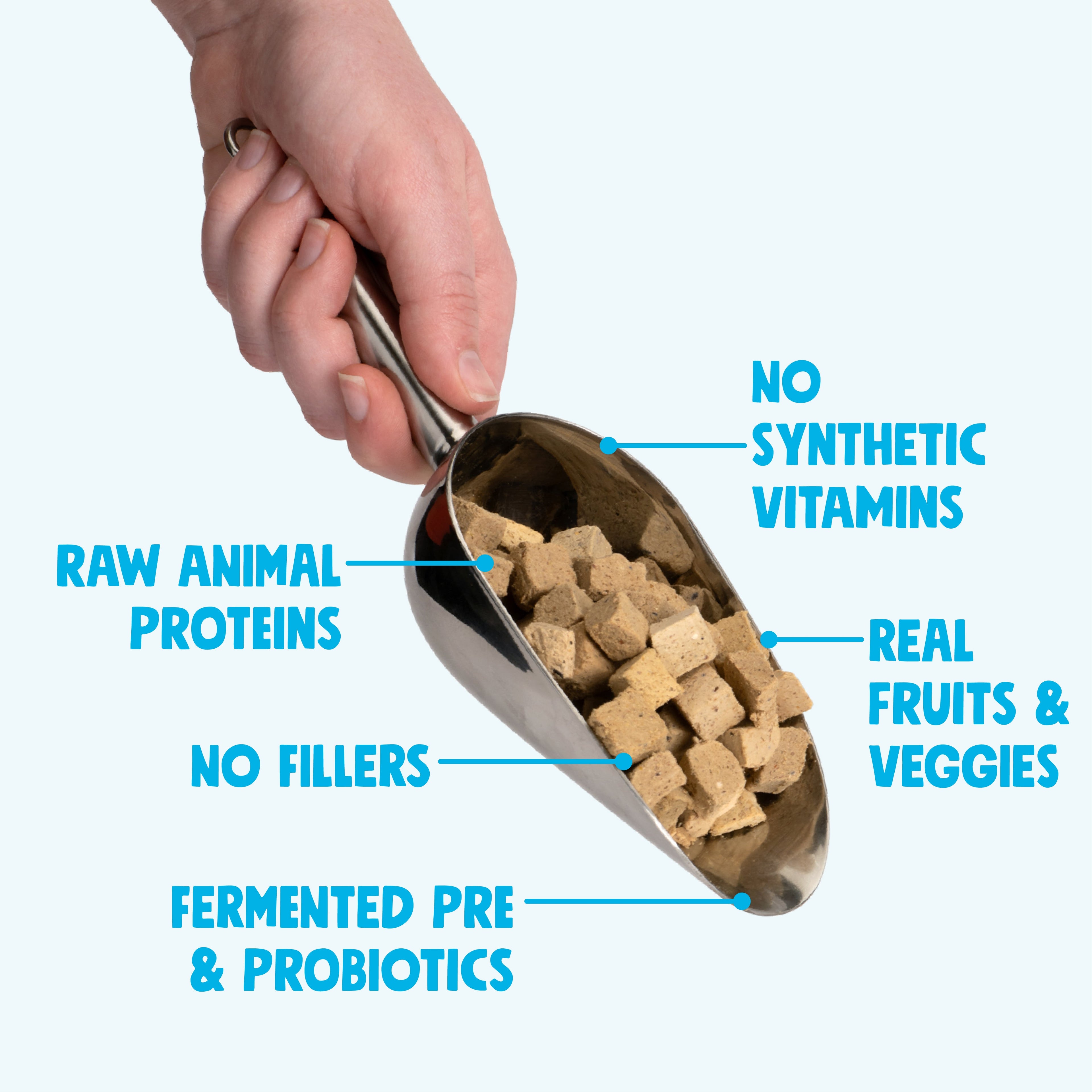 Beef Dog Food Topper