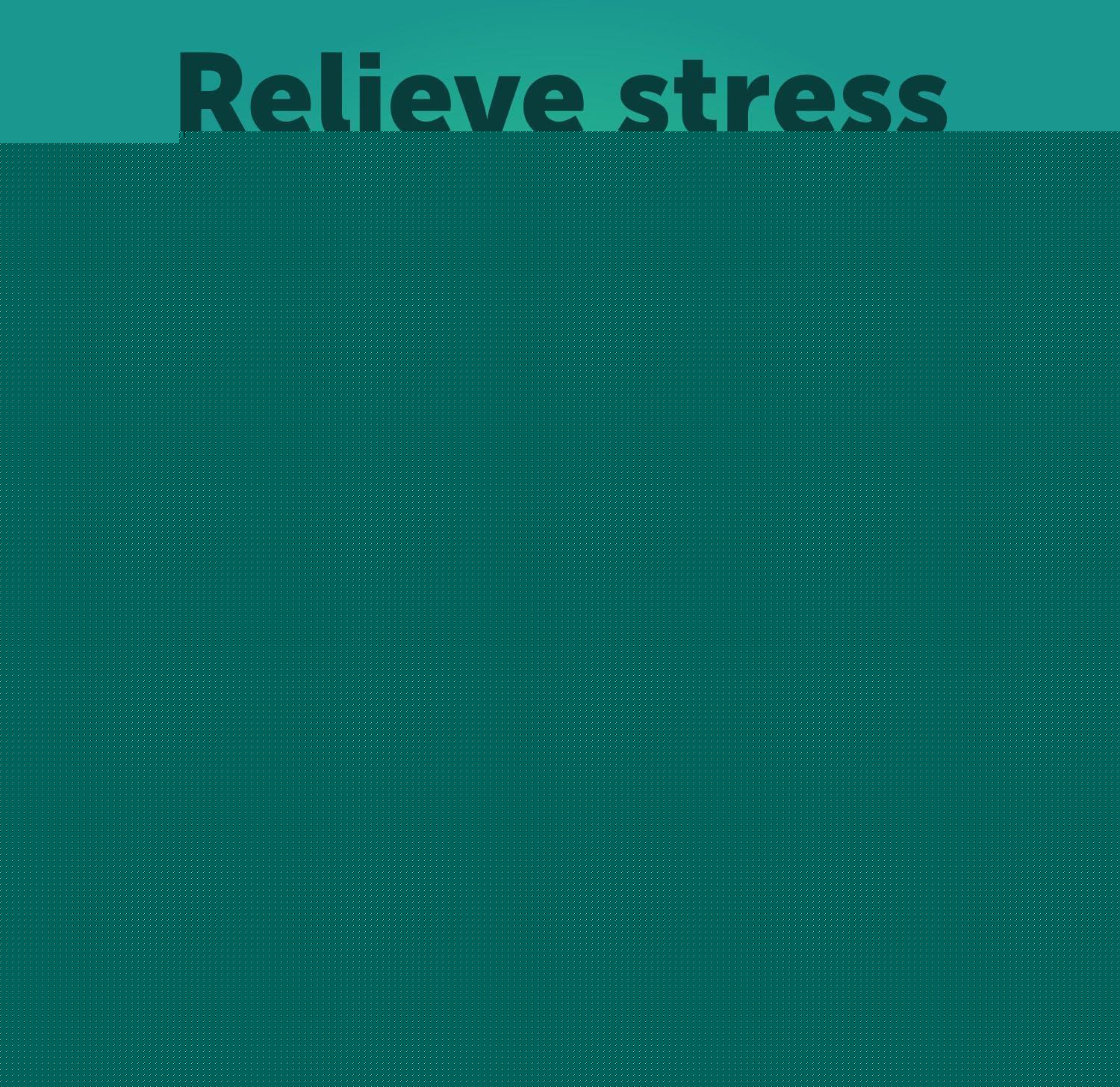 Calming Chews for Dogs Anxiety Relief Treats with Turmeric Valerian Ginger 120