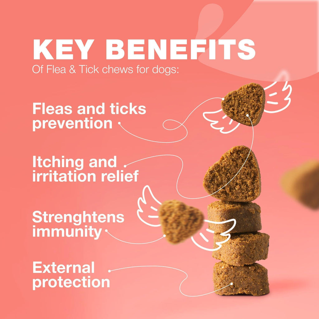 Dog Insects Treatment Chews Prevention for Dogs Natural Dog Insects Control