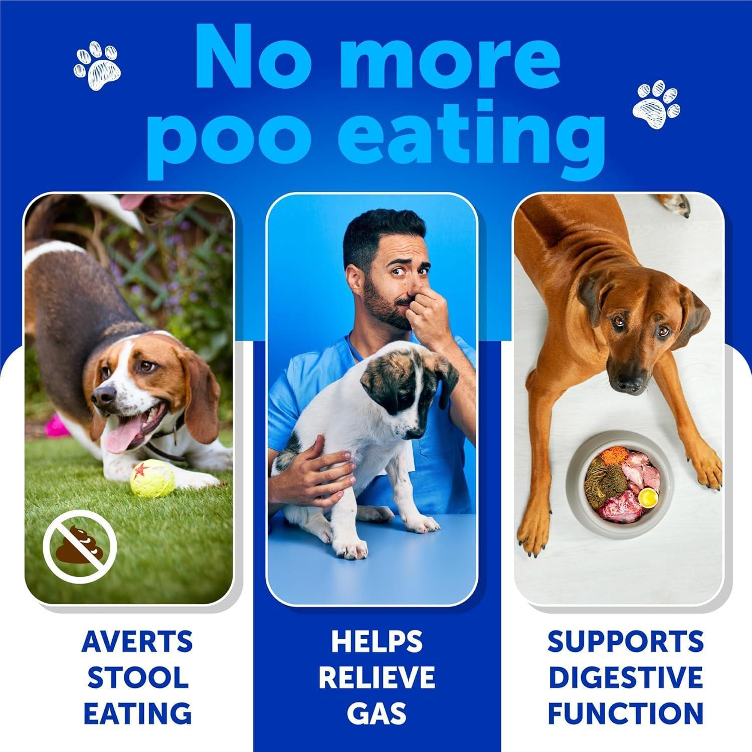 No Poo Chews for Dogs Puppy Coprophagia Stool Eating Deterrent Prevent Dog from