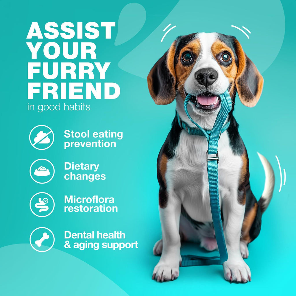 No Poo Chews for Dogs   Coprophagia Deterrent for Dogs   Forbid for Dogs Stool Eating Deterrent   Dog Probiotics for Digestive Health   Digestive Gut & Immune Health Treats   No Poop Eating for Dogs