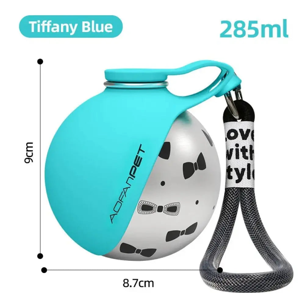 Stainless Steel Portable Dog Water Bottle with Travel Bowl