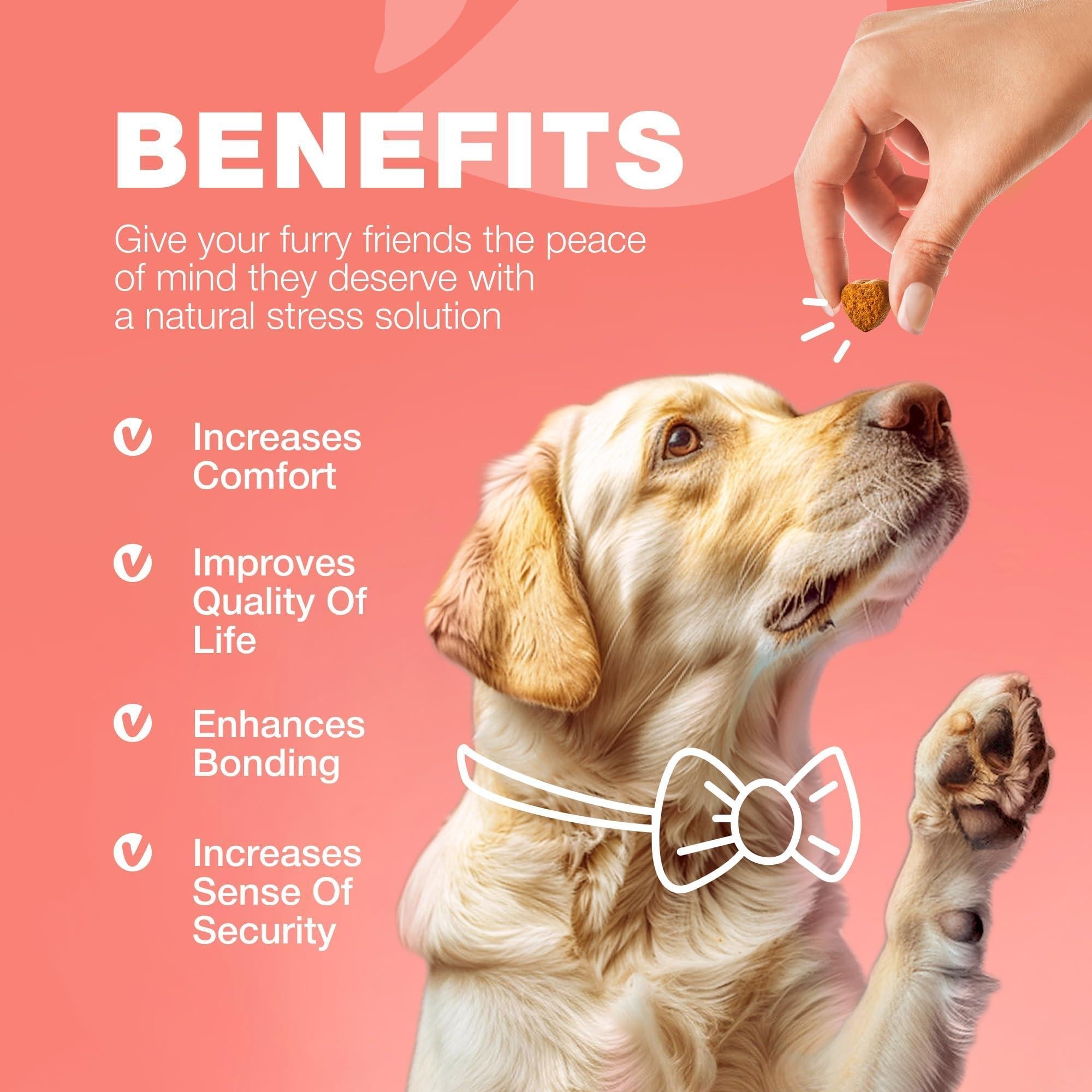 Dog Insects Treatment Chews Prevention for Dogs Natural Dog Insects Control