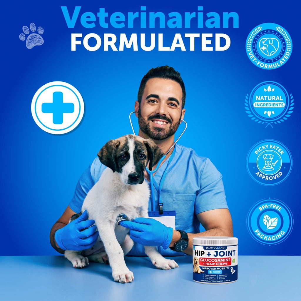 Hemp Hip and Joint Supplement for Dogs   Glucosamine for Dogs Joint Pain Relief   MSM   Mobility Support   Hemp Chews with Chondroitin   Canine Cartilage Health   240 Chewable Soft Treats (2 Pack)