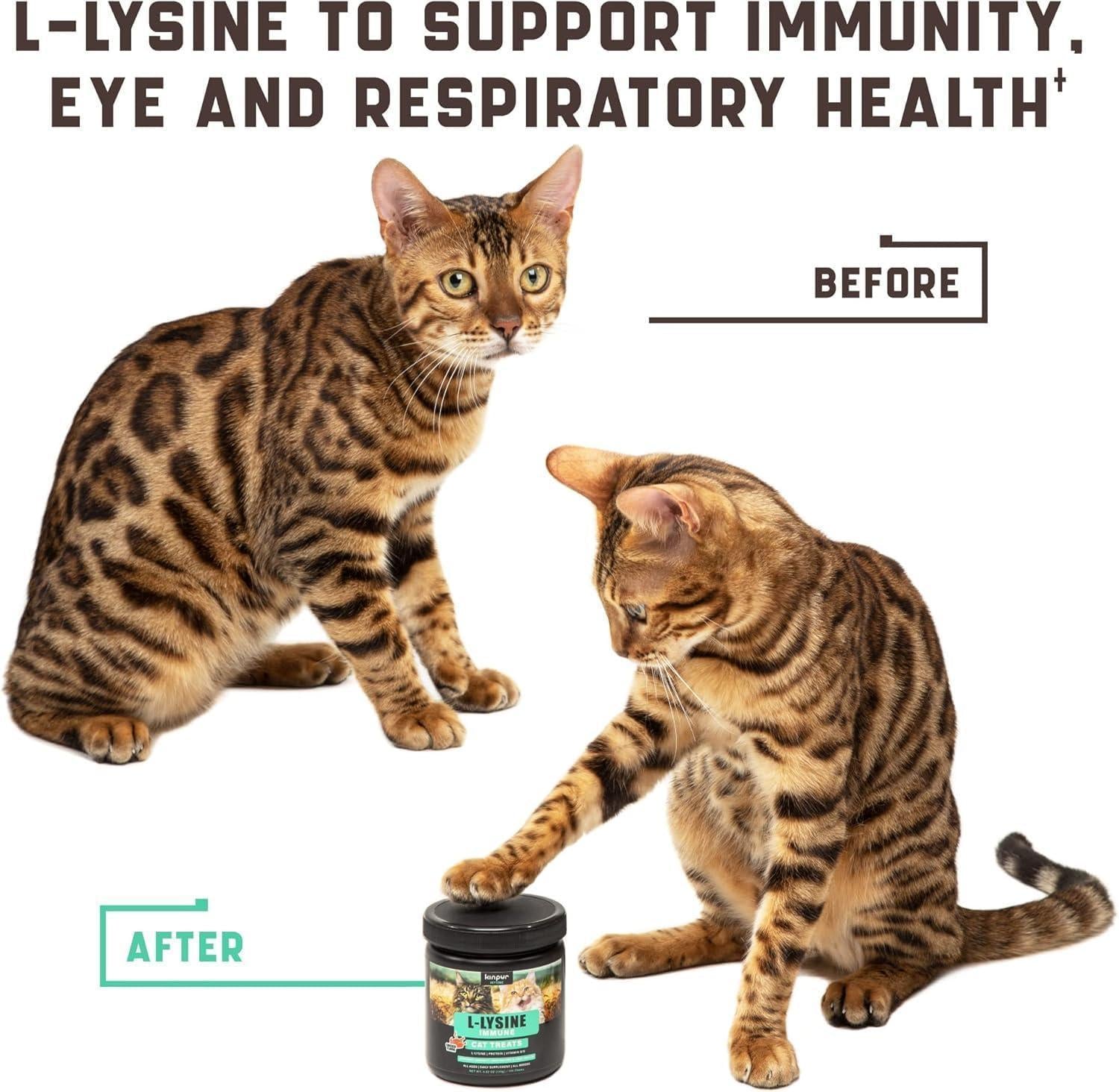 Lysine Cat Treats – Immune Support for Cats – Promotes Respiratory Health and Eye Function – Fortified with Vitamin B Calcium and Protein