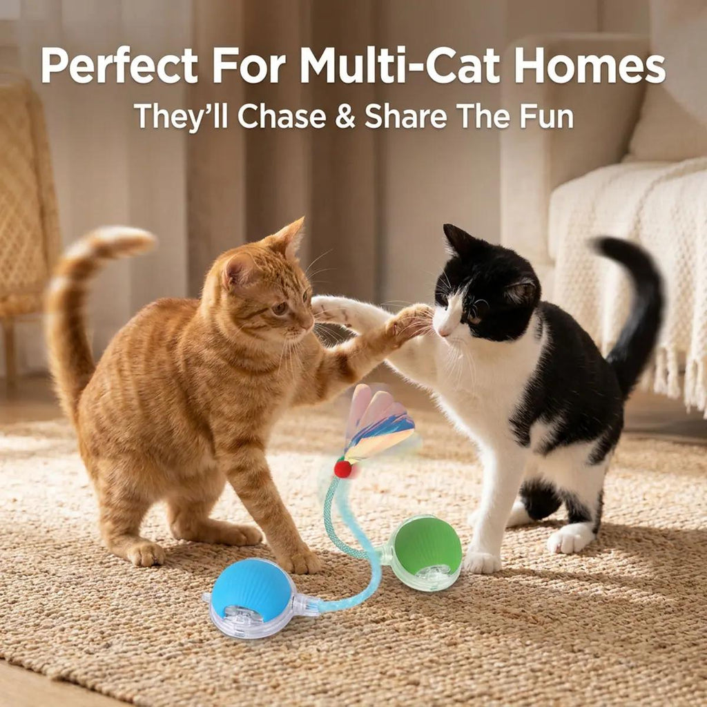 Automatic Cat Toy - Interactive Rolling Ball for Cats, Self-Moving Pet Entertainment Toy for Fun, Exercise & Mental Stimulation
