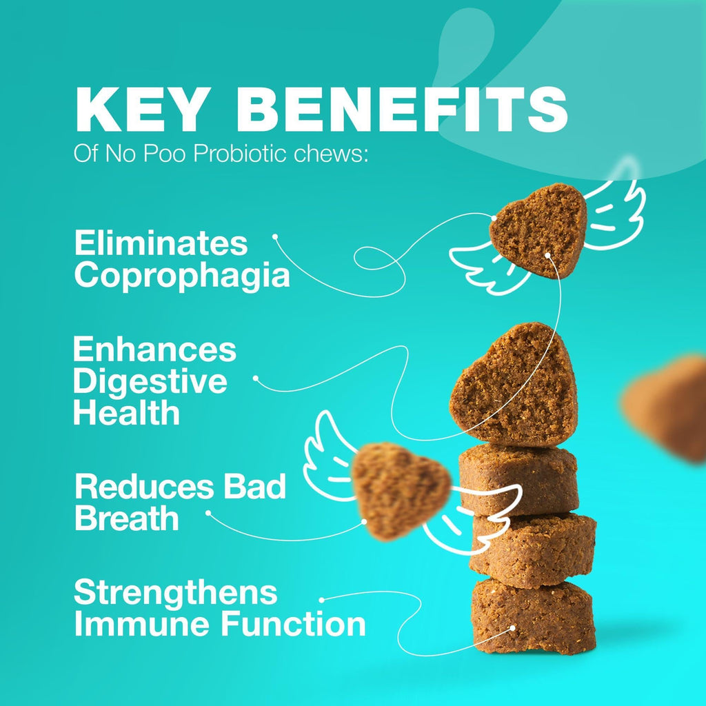No Poo Chews for Dogs   Coprophagia Deterrent for Dogs   Forbid for Dogs Stool Eating Deterrent   Dog Probiotics for Digestive Health   Digestive Gut & Immune Health Treats   No Poop Eating for Dogs